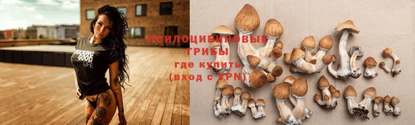 героин Белокуриха