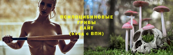 гашишное масло Богданович