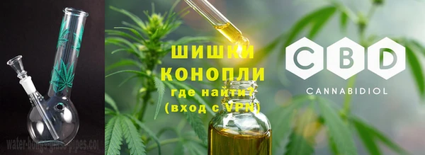 дживик Богородицк