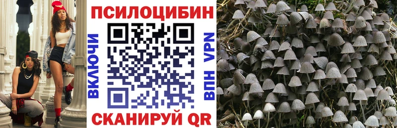 Псилоцибиновые грибы ЛСД  Няндома 